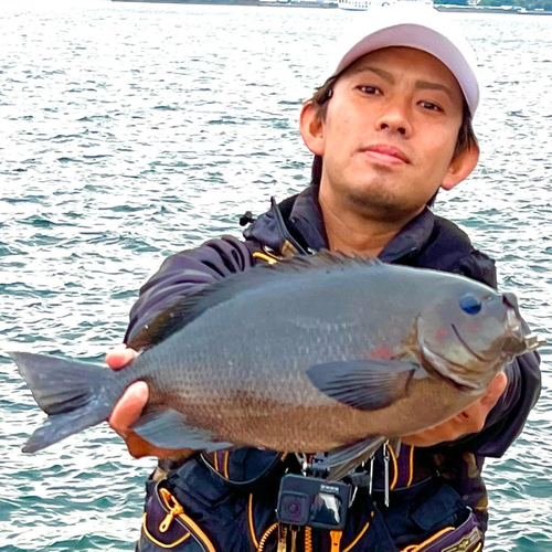 クチブトグレの釣果