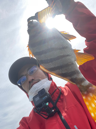 タカノハダイの釣果