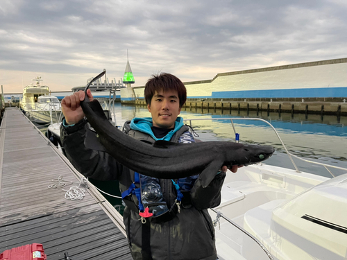 ユメザメの釣果