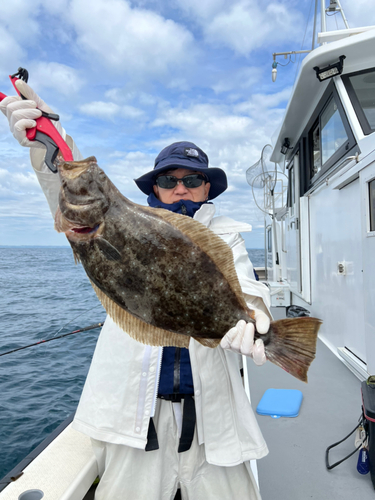 ヒラメの釣果