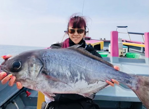 メダイの釣果