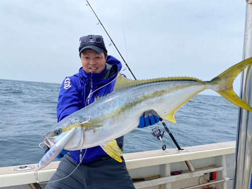 ヒラマサの釣果