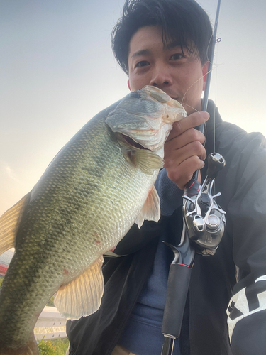 ブラックバスの釣果