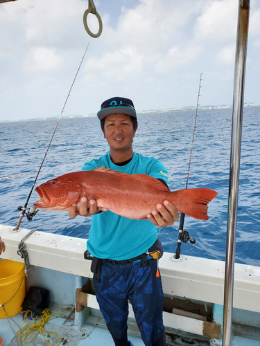 アカジンミーバイの釣果