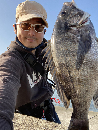 チヌの釣果