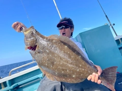 ヒラメの釣果