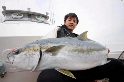 ヒラマサの釣果