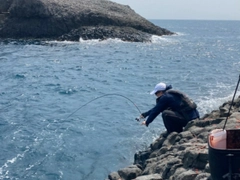 クチブトグレの釣果