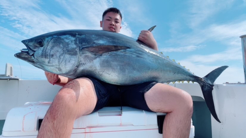 クロマグロの釣果