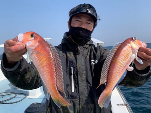 アマダイの釣果