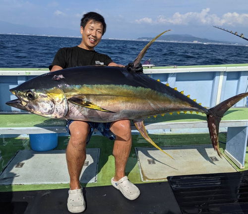 キハダマグロの釣果