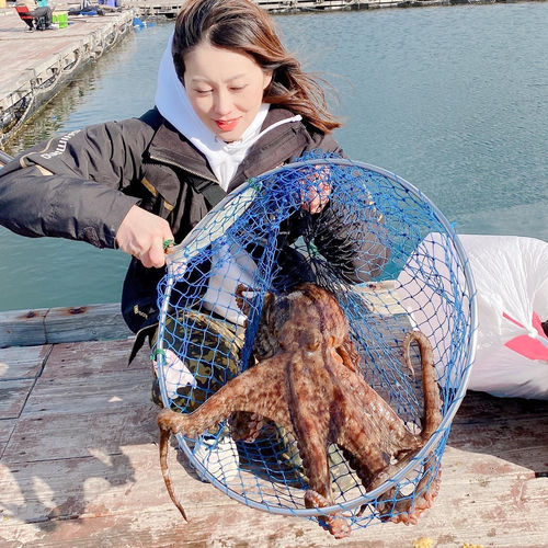 タイの釣果