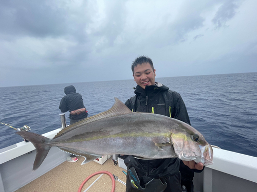 カンパチの釣果