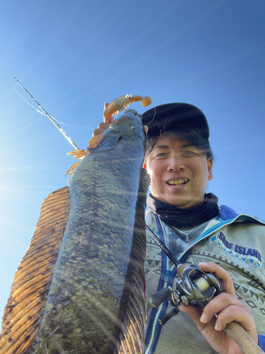 ライギョの釣果