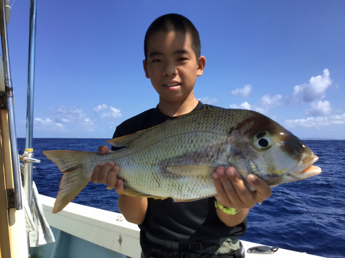 シロダイの釣果