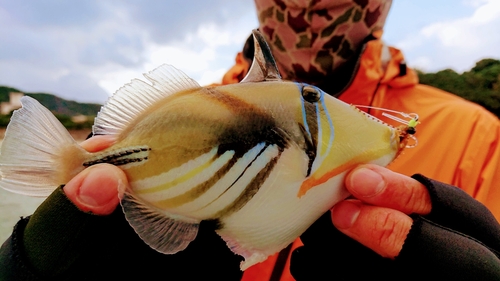 釣果