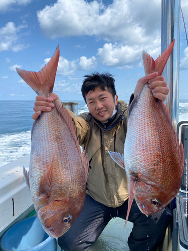 マダイの釣果