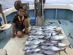 カツオの釣果