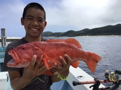 スジアラの釣果