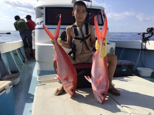 ハマダイの釣果