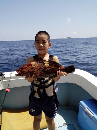 シロブチハタの釣果