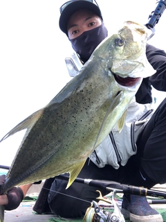 オニヒラアジの釣果