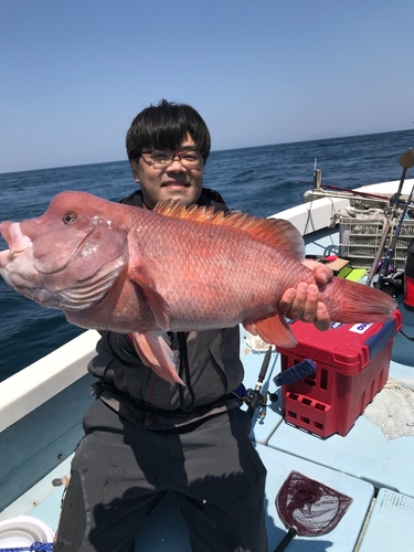 カンダイの釣果