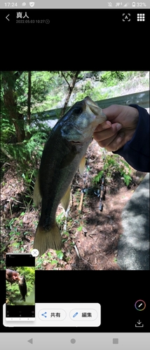 ブラックバスの釣果