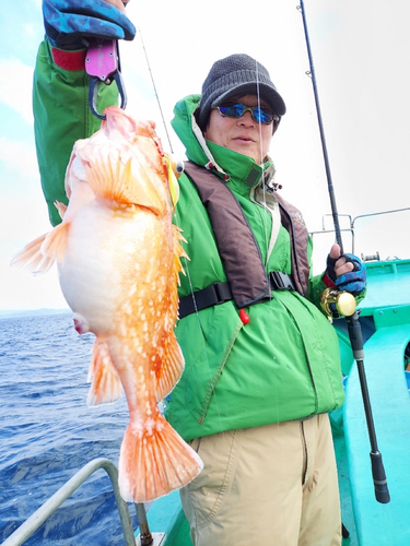 ウッカリカサゴの釣果