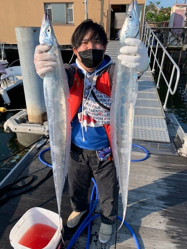 タチウオの釣果