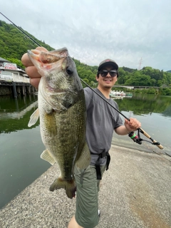 ブラックバスの釣果