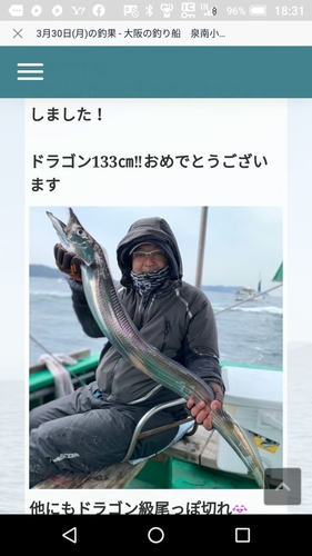 タチウオの釣果