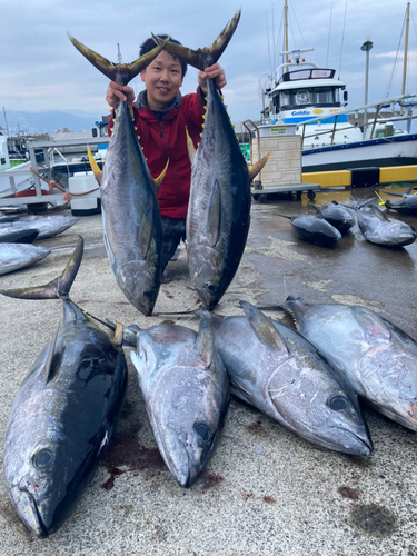 キハダマグロの釣果