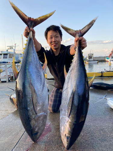 キハダマグロの釣果