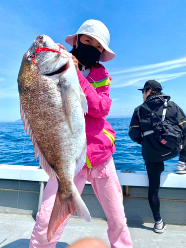 マダイの釣果