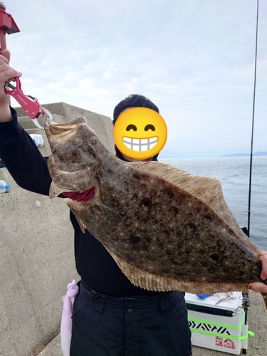 ヒラメの釣果