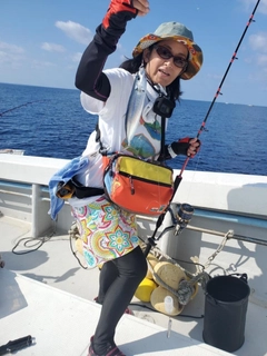 ムロアジの釣果