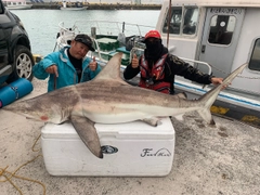 サメの釣果