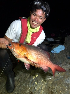 バラフエダイの釣果