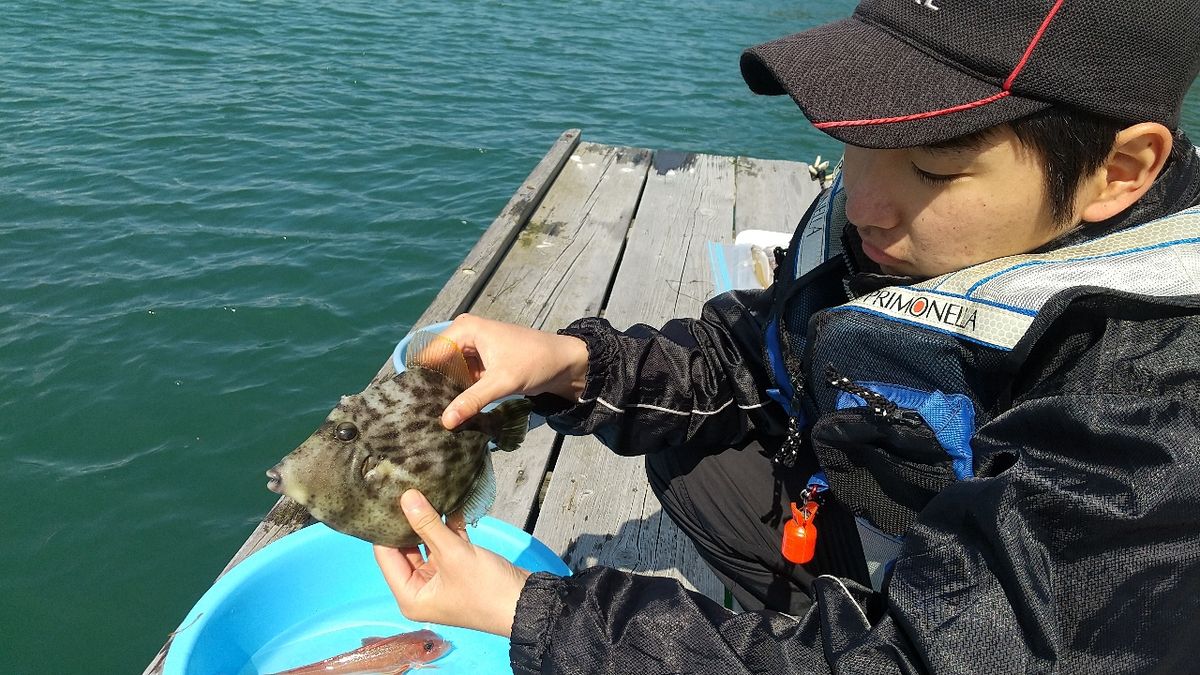 遥の父さんの釣果 2枚目の画像