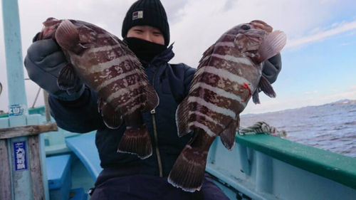 マハタの釣果