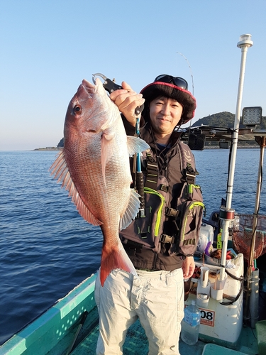 マダイの釣果