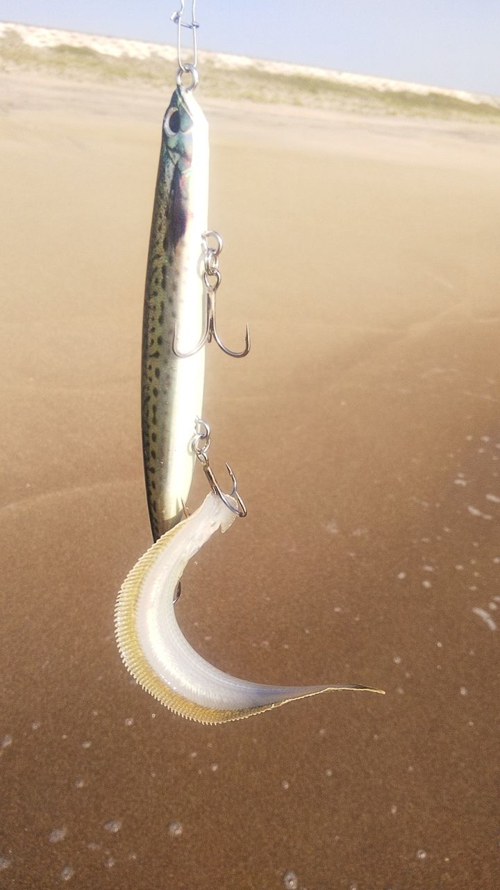 クロウシノシタ