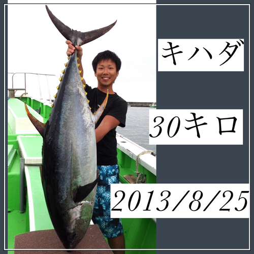 キハダマグロの釣果