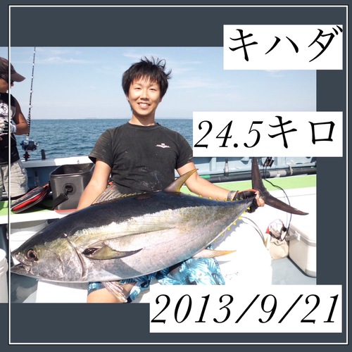 キハダマグロの釣果