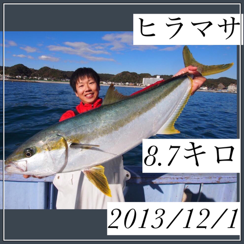 ヒラマサの釣果