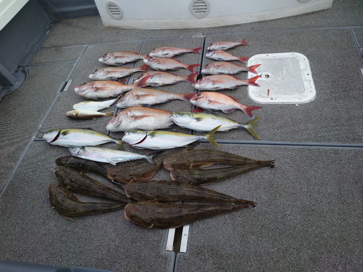 change!さんの釣果 2枚目の画像