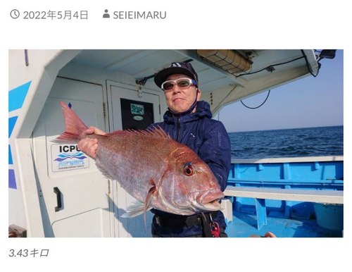 マダイの釣果