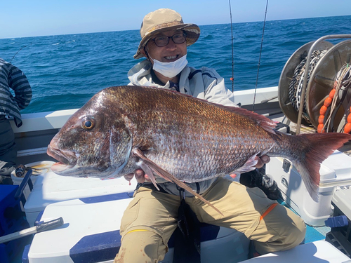 マダイの釣果