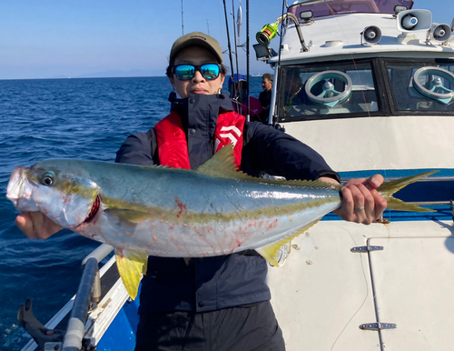 ヒラスの釣果